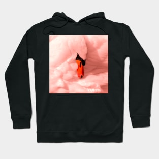 SWAN PINK Hoodie